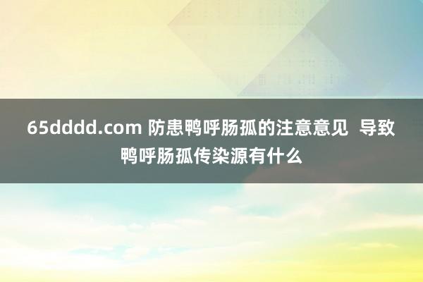 65dddd.com 防患鸭呼肠孤的注意意见  导致鸭呼肠孤传染源有什么