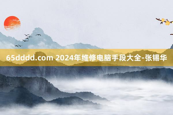 65dddd.com 2024年维修电脑手段大全-张锡华