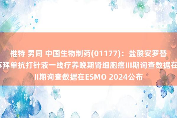 推特 男同 中国生物制药(01177)：盐酸安罗替尼胶囊都集贝莫苏拜单抗打针液一线疗养晚期肾细胞癌III期询查数据在ESMO 2024公布