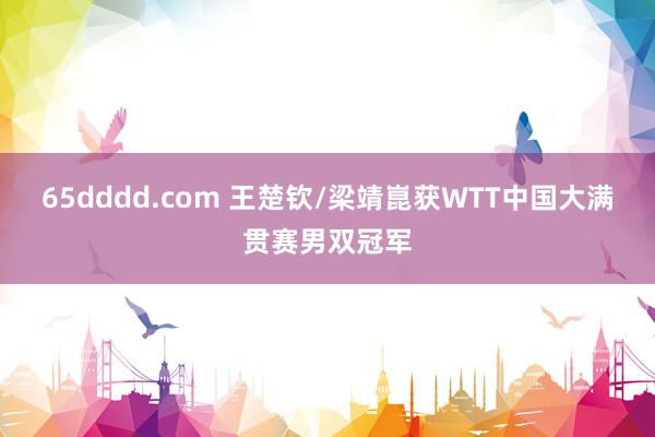 65dddd.com 王楚钦/梁靖崑获WTT中国大满贯赛男双冠军