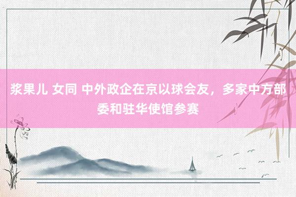 浆果儿 女同 中外政企在京以球会友，多家中方部委和驻华使馆参赛
