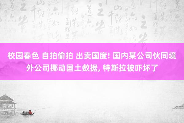 校园春色 自拍偷拍 出卖国度! 国内某公司伙同境外公司挪动国土数据， 特斯拉被吓坏了