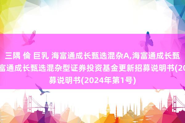 三隅 倫 巨乳 海富通成长甄选混杂A,海富通成长甄选混杂C: 海富通成长甄选混杂型证券投资基金更新招募说明书(2024年第1号)
