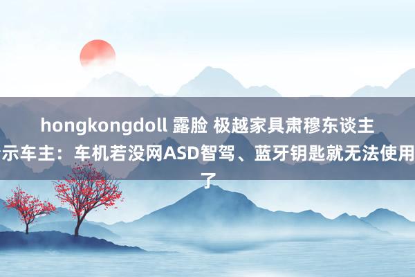 hongkongdoll 露脸 极越家具肃穆东谈主请示车主：车机若没网ASD智驾、蓝牙钥匙就无法使用了