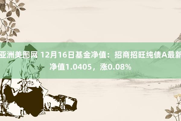 亚洲美图网 12月16日基金净值：招商招旺纯债A最新净值1.0405，涨0.08%