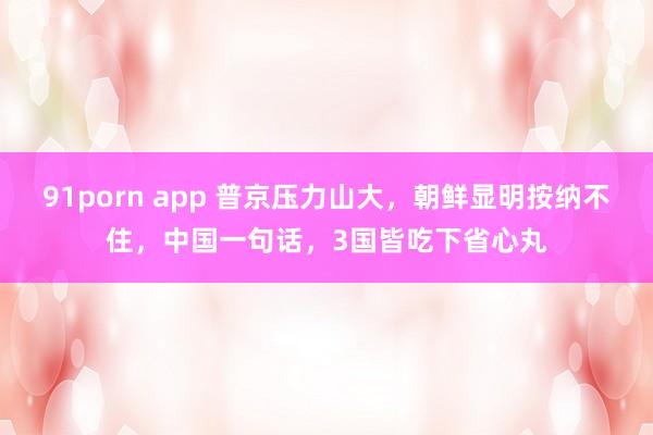 91porn app 普京压力山大，朝鲜显明按纳不住，中国一句话，3国皆吃下省心丸