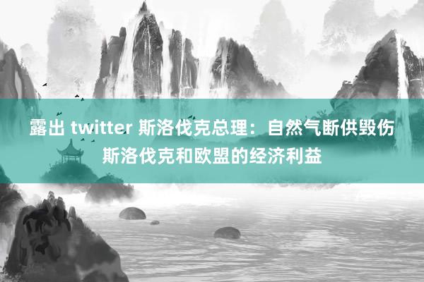 露出 twitter 斯洛伐克总理：自然气断供毁伤斯洛伐克和欧盟的经济利益
