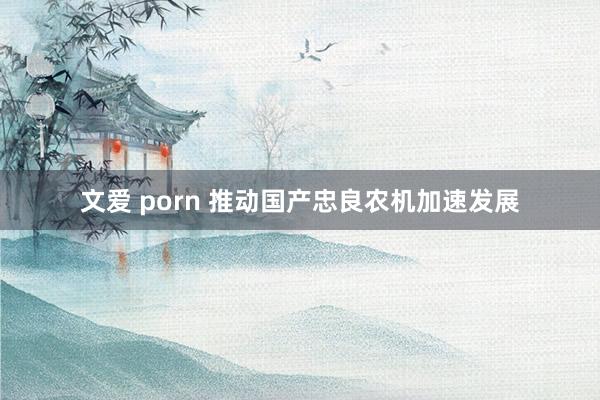 文爱 porn 推动国产忠良农机加速发展